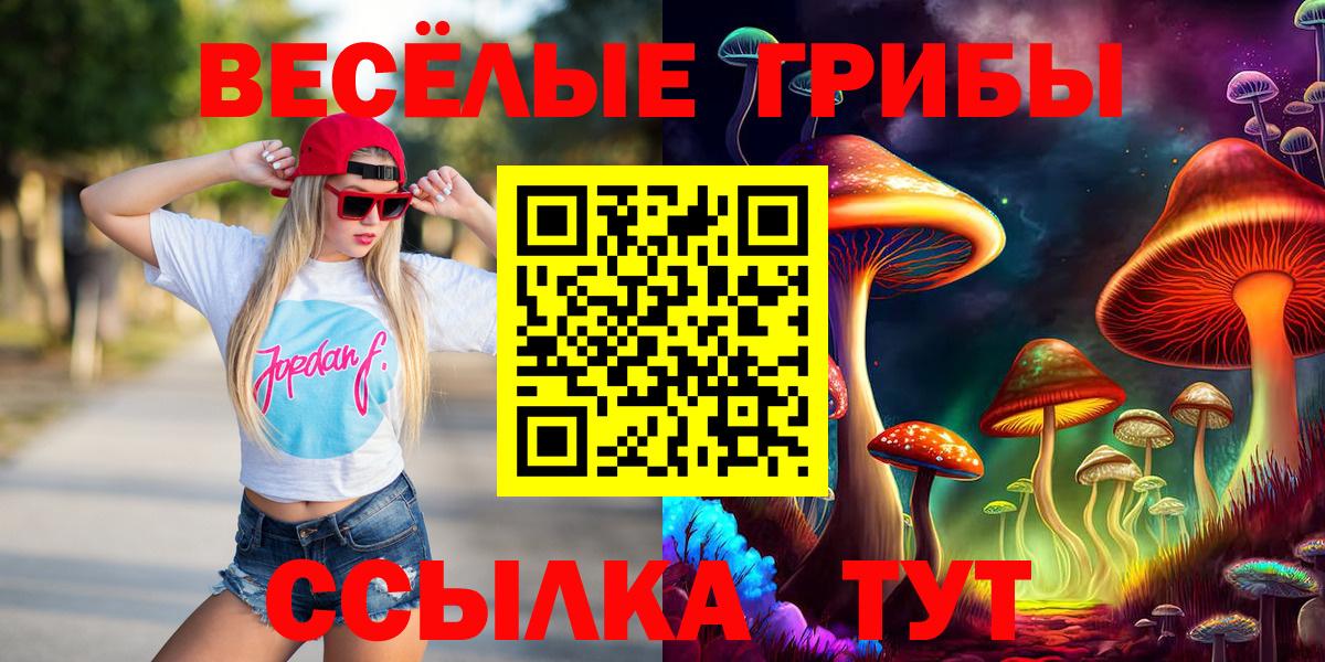 Городец  Галлюциногенные грибы Psilocybine cubensis  Вход с VPN 