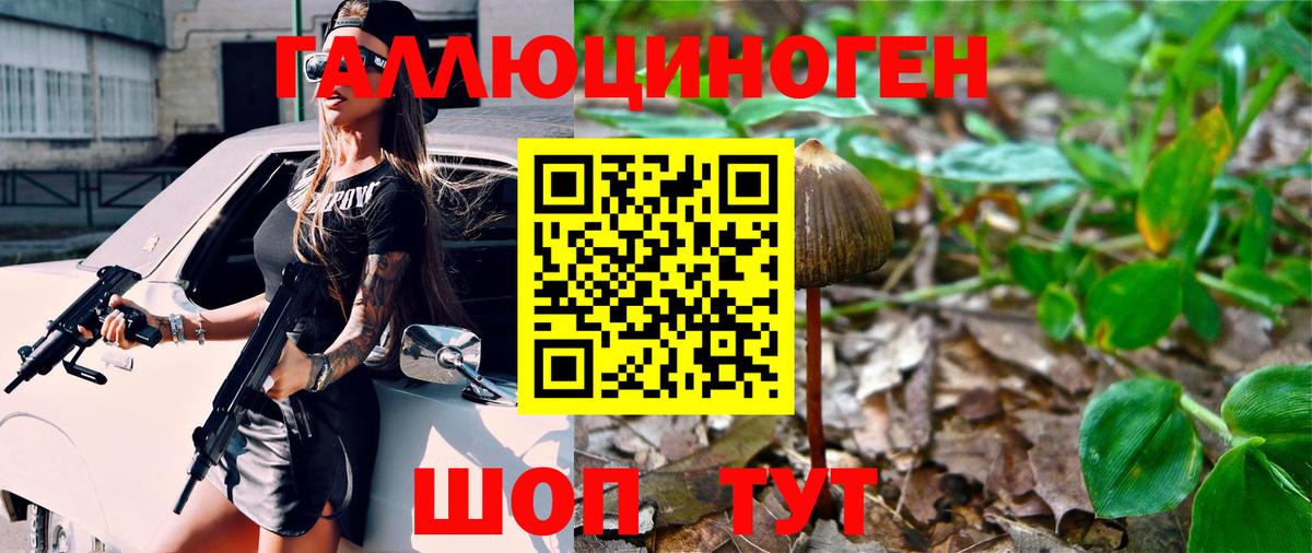 Галлюциногенные грибы мухоморы Городец