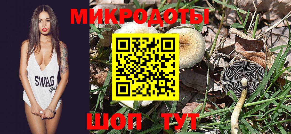 Галлюциногенные грибы MAGIC MUSHROOMS Городец