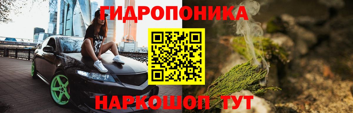 Городец  Бошки Шишки сатива  Бошки Шишки индика  Марихуана MAZAR  Вход с VPN  Марихуана гибрид 